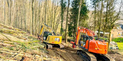 Abattage et débardage en forêt