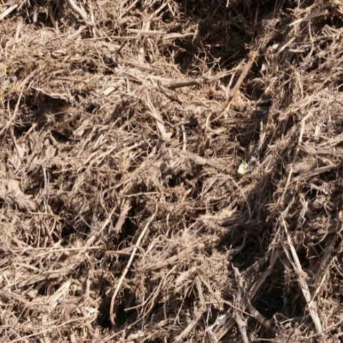 Souches et chutes de bois issues de l'exploitation forestière